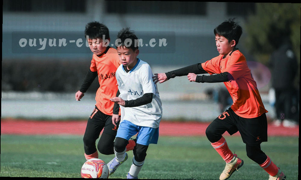账号、设备与收藏数据在访客设备、欧云游艺服务平台与厂商对接专区之间流动的抽象示意图，圆点与连线表示同步方向